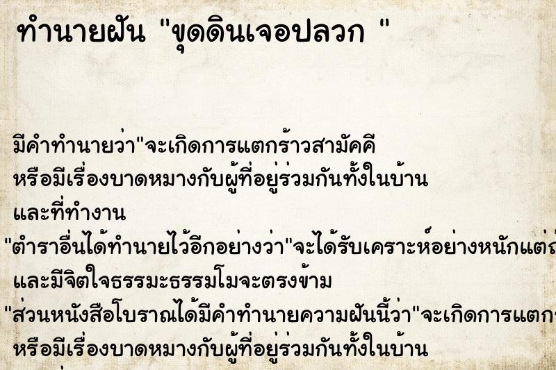 ทำนายฝัน ขุดดินเจอปลวก 